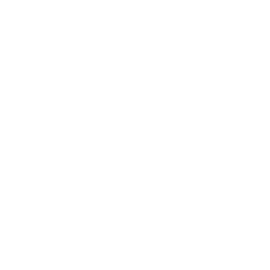 logo_partenaire_sbi (10)