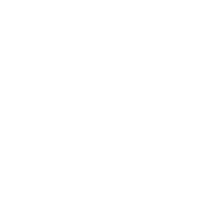 logo_partenaire_sbi (17)