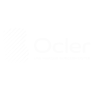 logo_partenaire_sbi (8)